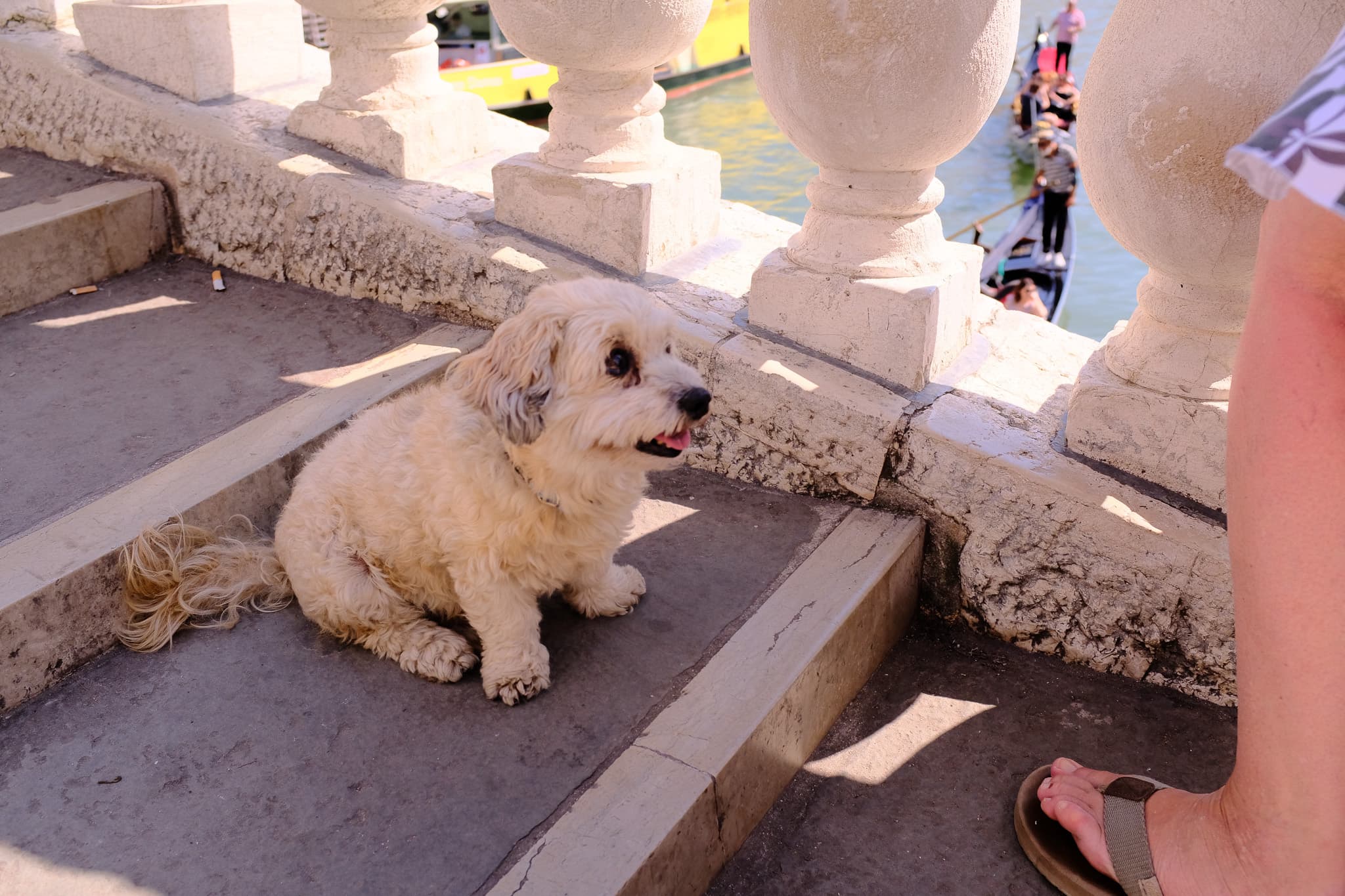Venice