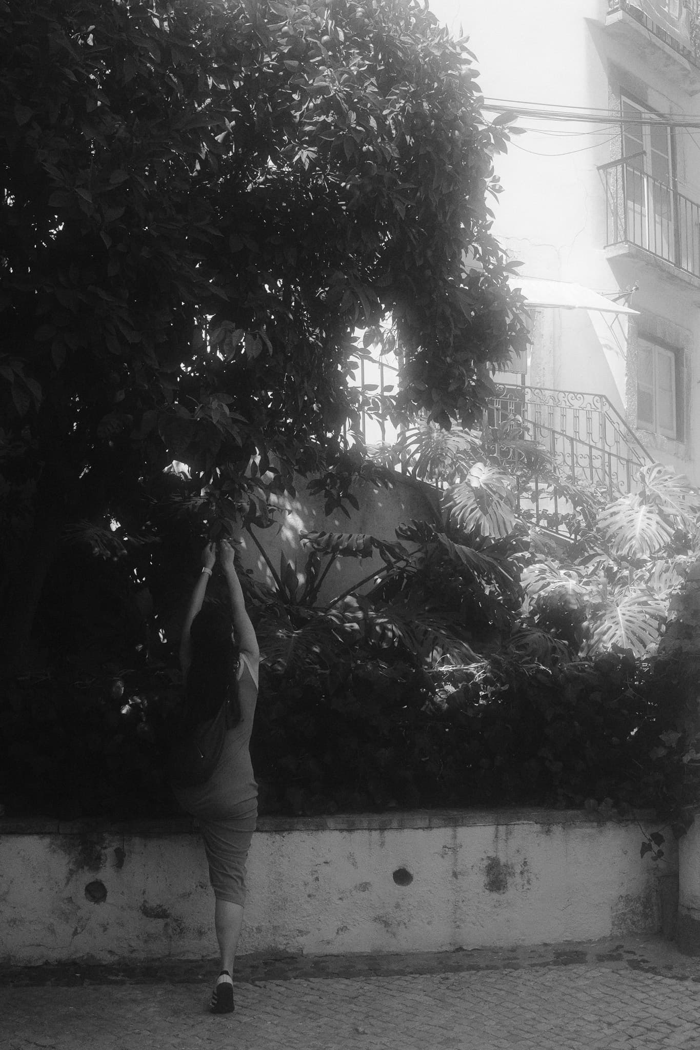 Lisbon