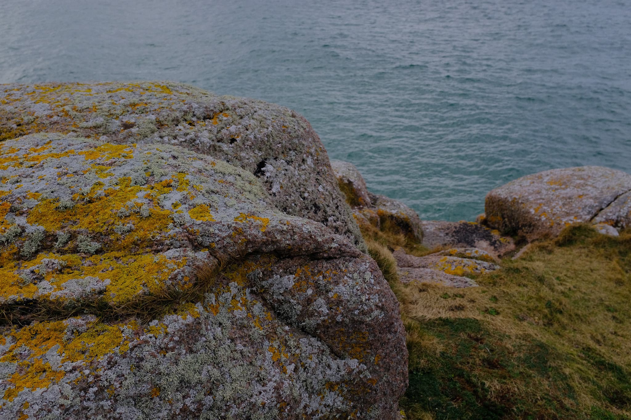 Donegal