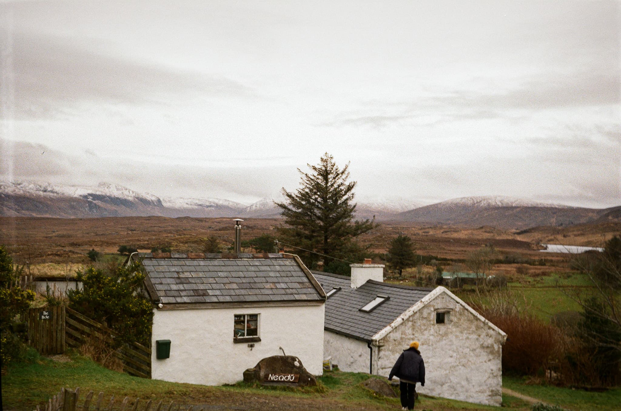 Donegal