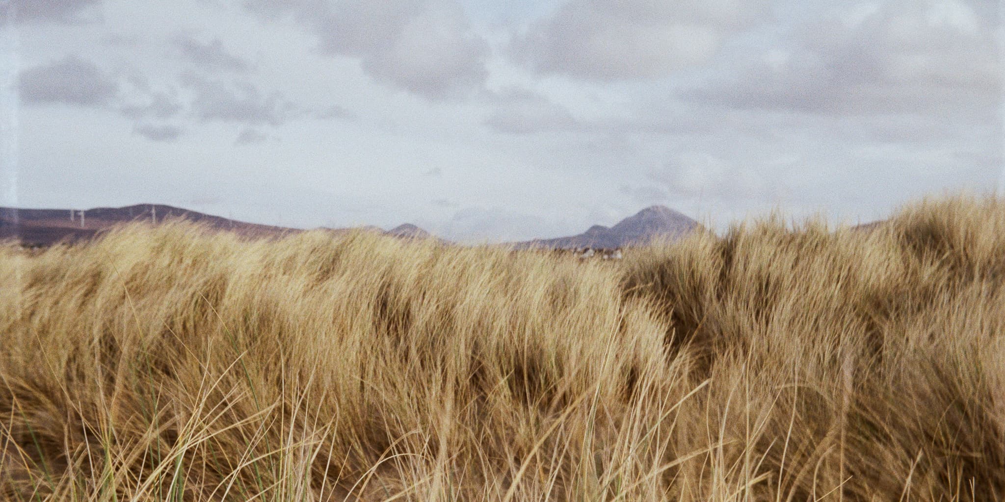 Donegal